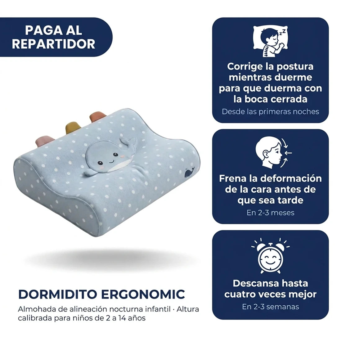 Dormidito Ergonomic - Almohada Ergonomica diseñada para Evitar deformaciones faciales