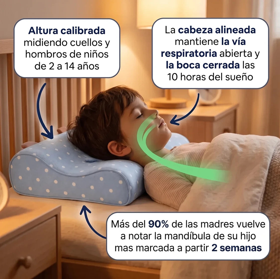 Dormidito Ergonomic - Almohada Ergonomica diseñada para Evitar deformaciones faciales