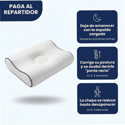 Dormidito  - Almohada Ergonomica diseñada para Corregir y enderezar la Espalda de tu Hijo
